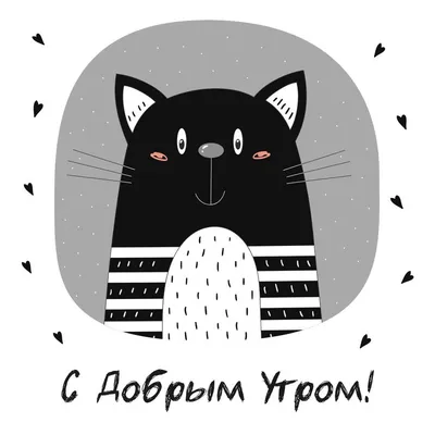 Прикольный кот: открытки с добрым утром - инстапик | Доброе утро, Открытки,  Милые рисунки