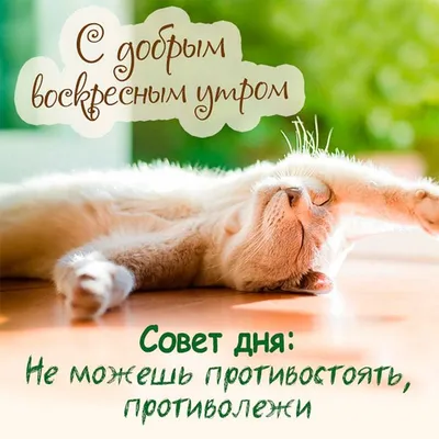 добрый зимний день фото красивое｜Поиск в TikTok