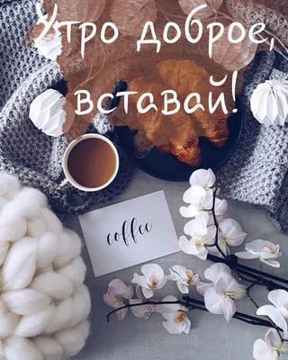 Картинки с добрым утром