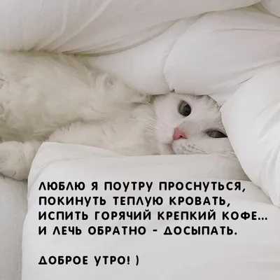 Картинки с добрым утром красивые новые - 78 фото