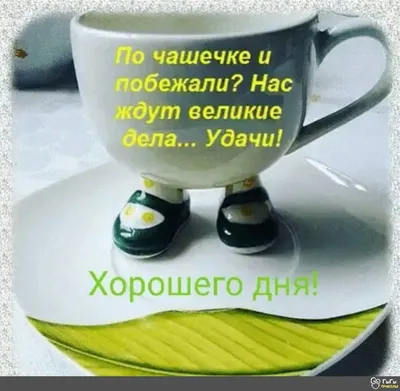 доброе утро четверга 4 января｜Поиск в TikTok