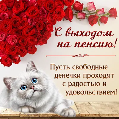 Шуточные поздравительные стихи и смс с выходом на пенсию. Поздравления на  мобильник.