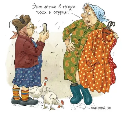 Открытка с прикольным котом и розами к выходу на пенсию