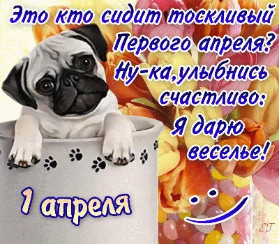 С Днем смеха! Позитивные картинки и открытки с праздником 1 апреля -  Телеграф