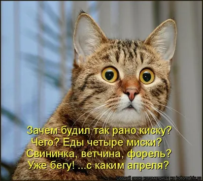 Поздравления с 1 апреля 2021 - картинки, стихи и прикольные шутки - Fun |  Сегодня