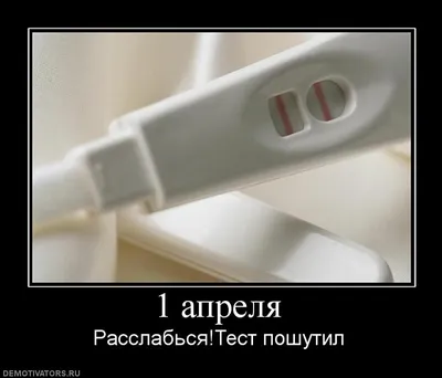 День смеха 2021: Приколы, шутки, открытки - Афиша bigmir)net
