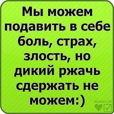 Самые смешные сообщества ВКонтакте - GoRabbit