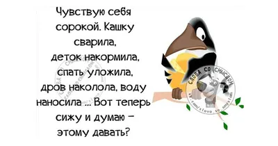 С днём рождения, мой котик | Картинки с надписями, прикольные картинки с  надписями для контакта от Любаши