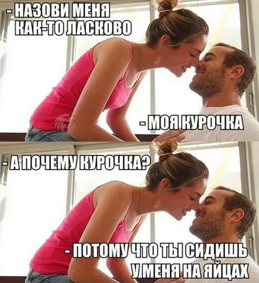 гифки прикольные и смешные с надписями: 2 тыс изображений найдено в Яндекс  Картинках
