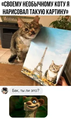 С днём твоего рождения | Картинки с надписями, прикольные картинки с  надписями для контакта от Любаши