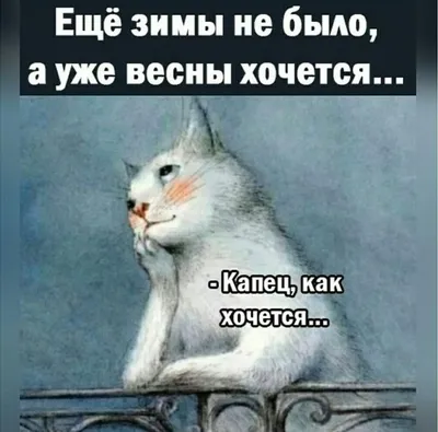 Я спать - прикольные картинки (50 фото) • Прикольные картинки и позитив
