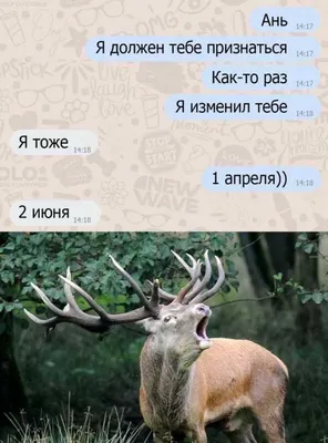 Веселые открытки и прикольные картинки с Днем смеха на 1 апреля | Открытки,  Первое апреля, Смешные открытки