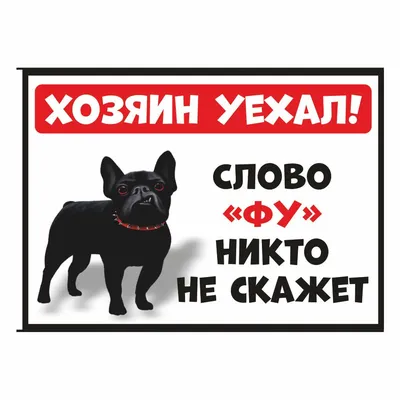 приколы для образованных даунов со знанием английского / смешные картинки и  другие приколы: комиксы, гиф анимация, видео, лучший интеллектуальный юмор.