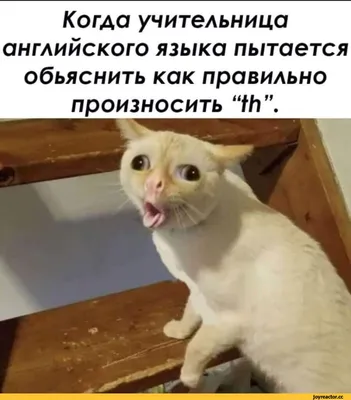 английский для инженеров / смешные картинки и другие приколы: комиксы, гиф  анимация, видео, лучший интеллектуальный юмор.