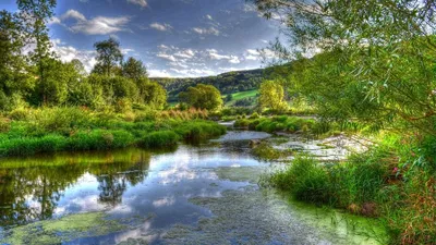 Природа обои для рабочего стола