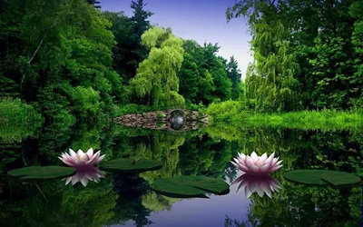 Картинки красивые природа на рабочий стол на весь экран (45 фото)