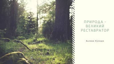 Обои на рабочий стол лето вода природа лес цветы - фото и картинки  abrakadabra.fun
