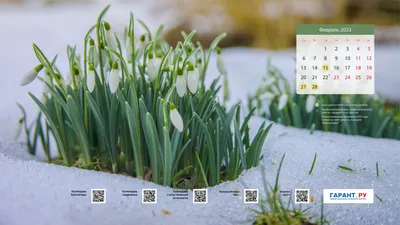 Деревянный рабочий стол ноутбук вид рабочего стола профессиональная  фотография | Премиум Фото