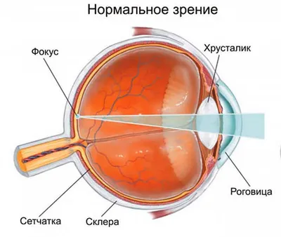 Проверка зрения онлайн