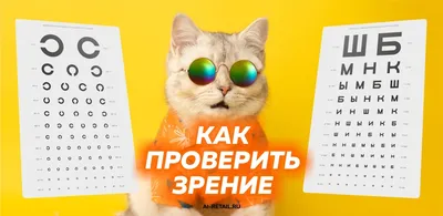 тест на зрение | Instagram