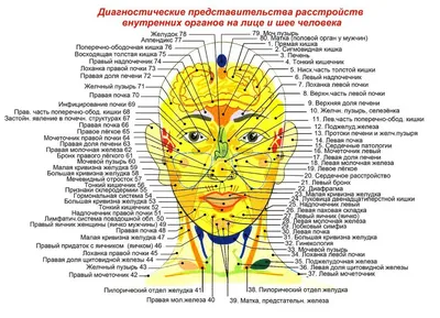 Из-за чего появляются прыщи на лице: 10 причин (очевидных и не очень) -  Летидор