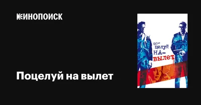 Видео: что будет, если выстрелить, двигаясь при этом со скоростью пули