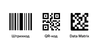 Россиянам на «Госуслугах» выдают «сломанные» QR-коды. Скрин