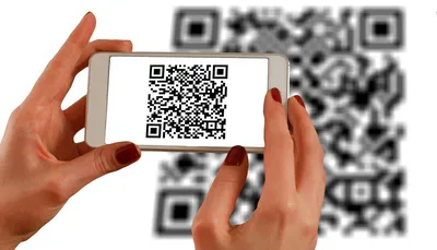 Меркурий: Настройка расположения QR-кода в чеке
