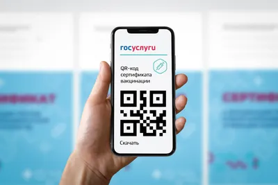 В Петербурге решили отменить QR-коды — Секрет фирмы
