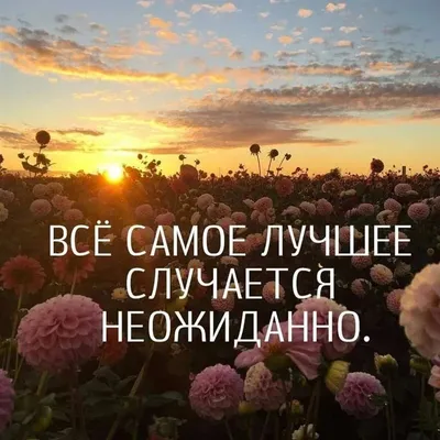 Пикачу, прикольные фото и авы (30 картинок) скачать бесплатно