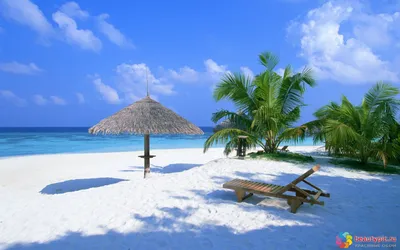 Картинки мальдивы, maldives, курорт, остров, океан, пальмы, рай - обои  1920x1080, картинка №411943
