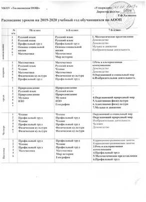расписание уроков шаблоны распечатать бесплатноAmelica