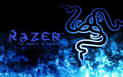 Коврик игровой для мыши Razer Goliathus Mobile, RZ02-01820200-R3M1 - купить  по лучшей цене в Усть-Каменогорске | интернет-магазин Технодом