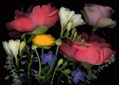 Подробный гайд по слоям в Photoshop: что это, зачем нужны, как пользоваться  | Урок | Фото, видео, оптика | Фотосклад Эксперт