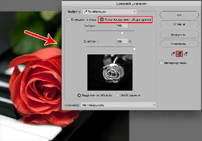 Маски фотошоп и как с ними работать?