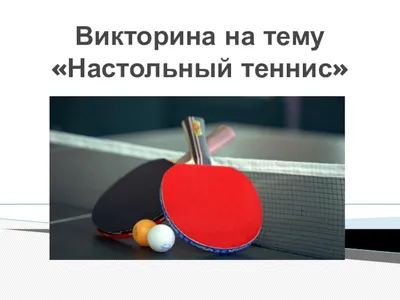 Команду по настольному теннису поздравили с успешным выступлением на  чемпионате России | СОВА - главные новости Самары