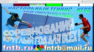 Новости спорта