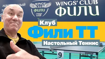 Пингпонг Или Настольный Теннис Ракетки Фон С — стоковые фотографии и другие картинки  Настольный теннис - Настольный теннис, Соревнование, Играть - iStock