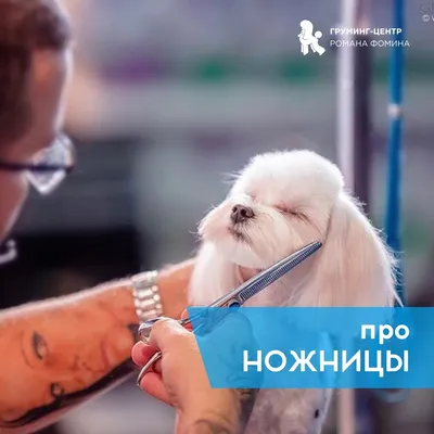 Скачать фото на айфон с изображением Романа Фомина