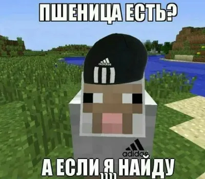 Пин от пользователя . на доске Ваши пины | Винтажные марки, Мемы, Веселые  мемы