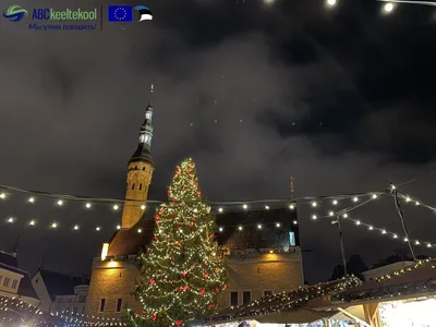 Рождество 🎅в Германии!!! Для урока немецкого языка 🎄🇩🇪 - и не только!!!  Weihnachten! Christmas! - YouTube