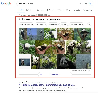 3d рендеринг адаптивного веб сайта отображаемого на экранах устройств  домашнего офиса, удаленная работа, офисный рабочий стол, домашнее задание  фон картинки и Фото для бесплатной загрузки