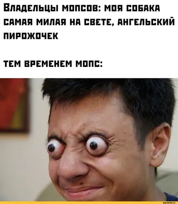 Интерактивная игрушка Floofies Флаффи пушистый сюрприз - «Как затмить  ужасного Хаги🤢?! Знакомьтесь-самая милая игрушка на свете!😍 В подарок  лучше не придумать… » | отзывы