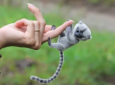 Картинки с надписью ты самая лучшая девушка на свете (47 фото) » Юмор,  позитив и много смешных картинок