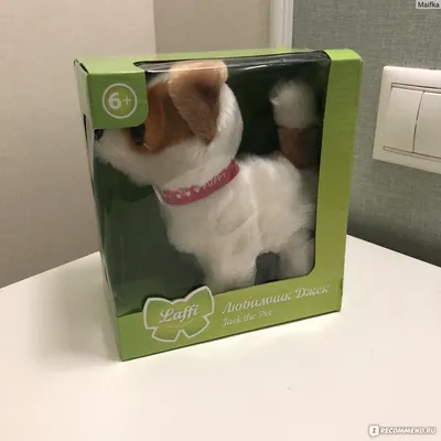 Yeston Radeon RX 580 Cute Pet – официально самая милая видеокарта на свете  - OCClub