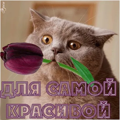 Ты самая красивая девушка на свете — И ты для меня… самый лучший #л... |  TikTok