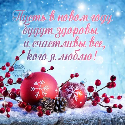 Экскурсия «Новогодний Петербург и самые красивые ёлки города»