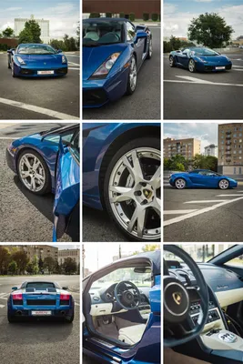 50+ красивых HD фото цветов на аватарку, заставку или фон для соцсетей,  телефона или компьютера | блог интернет - магазина АртФлора
