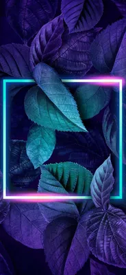 Живые заставки для Android - красивые обои на экран телефона