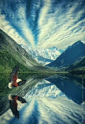 Красивые открытки природы - фото и картинки: 64 штук